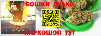 индика Лесосибирск